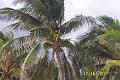 Cancun 103